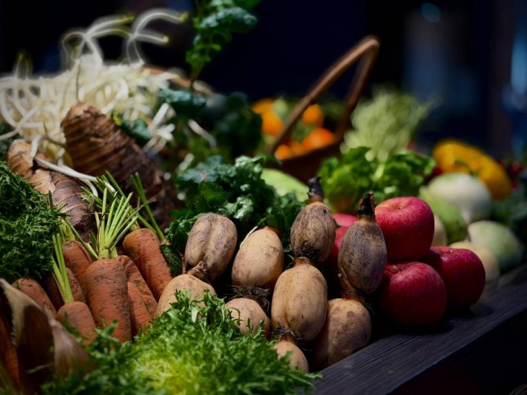 Fruits et légumes de saison à lyon : le calendrier malin pour manger local toute l’année